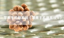 苹果手机新系统（苹果手机新系统18）