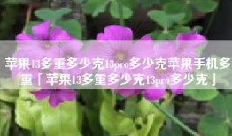 苹果13多重多少克13pro多少克苹果手机多重「苹果13多重多少克13pro多少克」