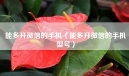 能多开微信的手机（能多开微信的手机型号）