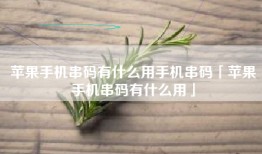 苹果手机串码有什么用手机串码「苹果手机串码有什么用」