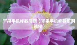 苹果手机咋截屏啊（苹果手机咋截屏啊视频）