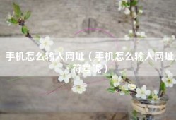 手机怎么输入网址（手机怎么输入网址符号呢）