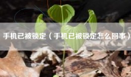 手机已被锁定（手机已被锁定怎么回事）