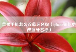 苹果手机怎么改蓝牙名称（iphone如何更改蓝牙名称）