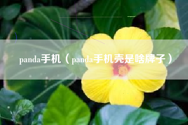 panda手机（panda手机壳是啥牌子）