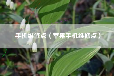 手机维修点（苹果手机维修点）