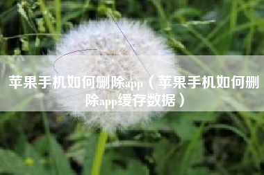 苹果手机如何删除app（苹果手机如何删除app缓存数据）