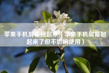 苹果手机屏幕翘起来（苹果手机屏幕翘起来了但不影响使用）