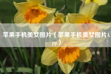 苹果手机美女图片（苹果手机美女图片App）