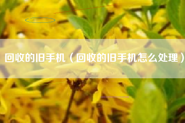 回收的旧手机（回收的旧手机怎么处理）